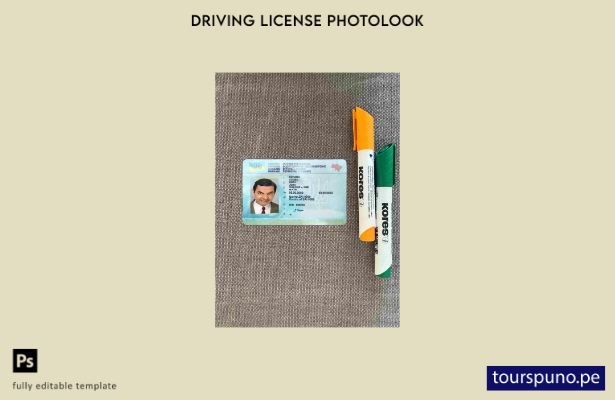 listo para imprimir plantilla FRONTAL de aspecto fotográfico del permiso de c 61